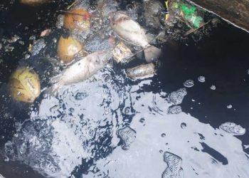 Pencemaran Limbah Setu Bahar Makin Parah, Penanganan Pemerintah Gak Jelas