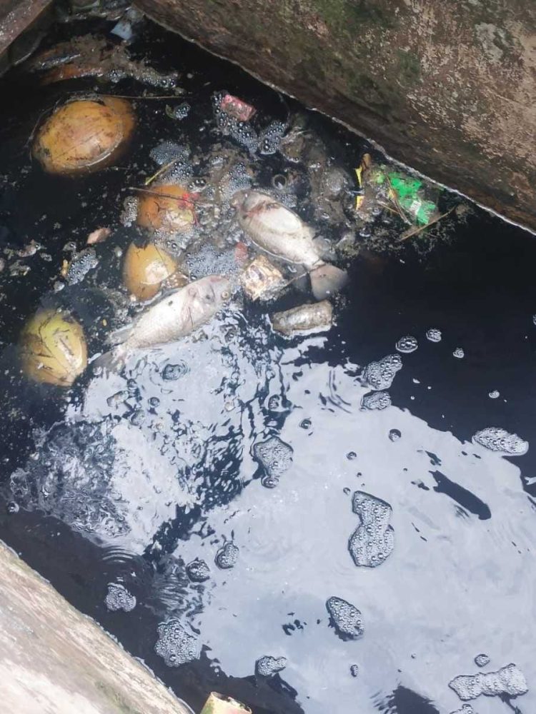 Pencemaran Limbah Setu Bahar Makin Parah, Penanganan Pemerintah Gak Jelas